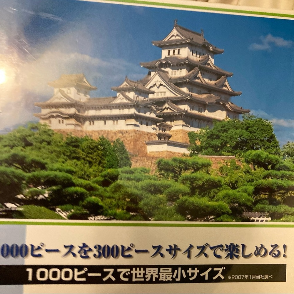 Worlds smallest 1000 piece, jigsaw puzzle